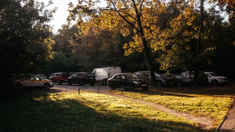 Claim a Tree That Isn't Yours: The Case for a Family Parking Lot Landmark