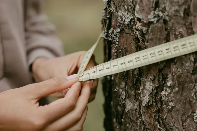 Give Your Kid One Tree. Seriously, That's the Whole Activity.